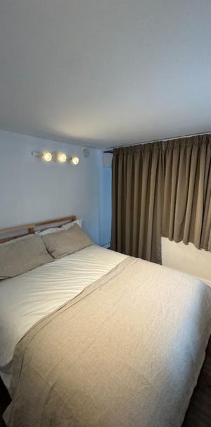 Charmant 4½ sur 3 étages – Plateau Mont-Royal - Photo 1