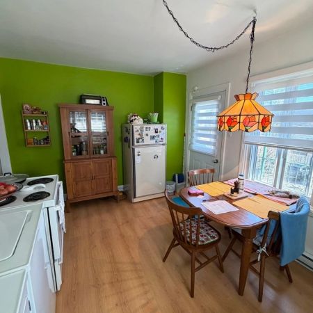 Appartement, Montréal (Le Sud-Ouest) - Photo 3