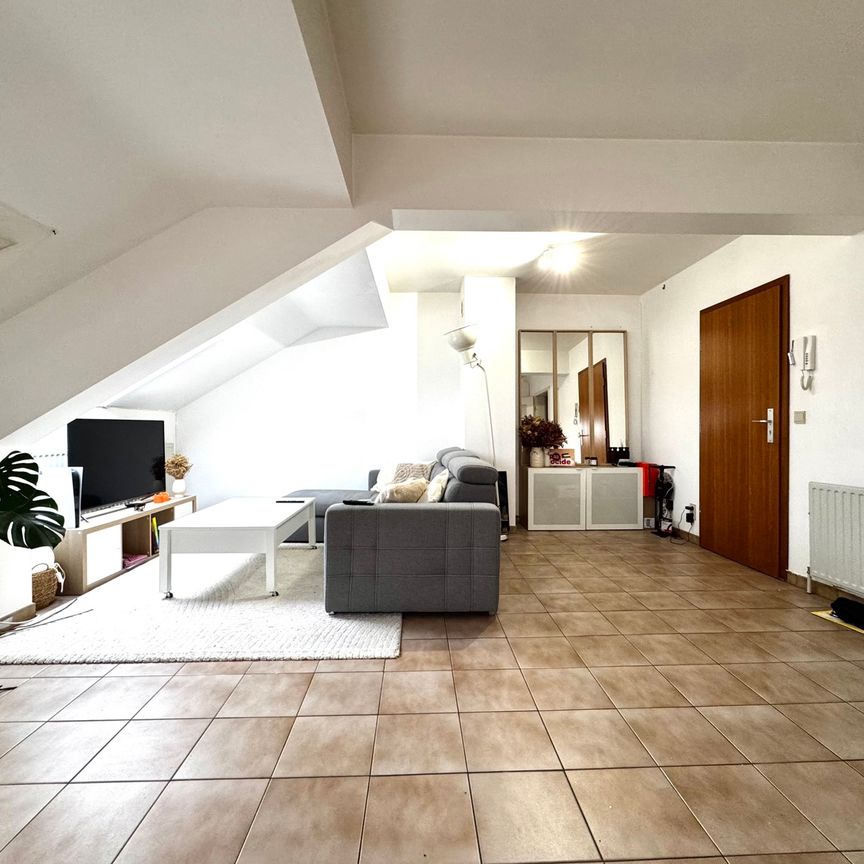 bluets 36a - Photo 1