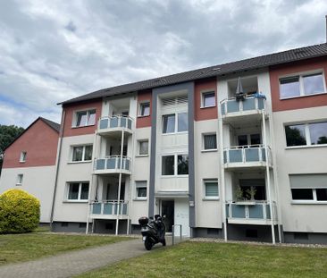 Modern renovierte 3,5-Zimmer-Wohnung mit sonnigem Balkon - Photo 6