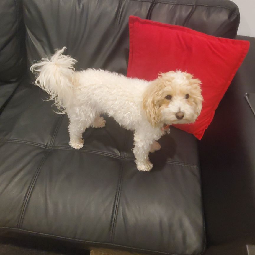 Aubin Grove - Photo 1