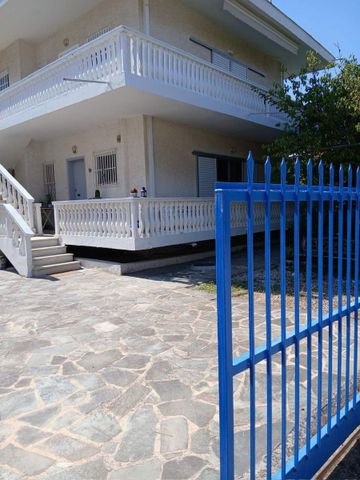 Διαμέρισμα για ενοικίαση Κάτω Διμηνιό (Σικυώνα) - Φωτογραφία 4