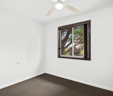 14 Carrington Street - Photo 3