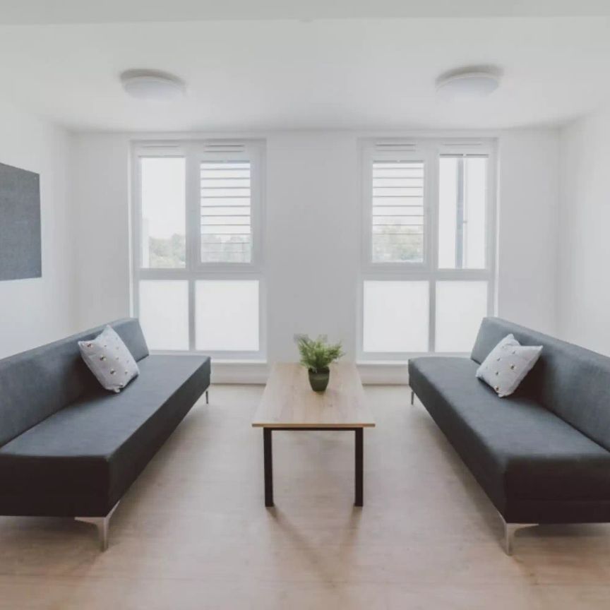 Premium Single Shared Facilities - Photo 1