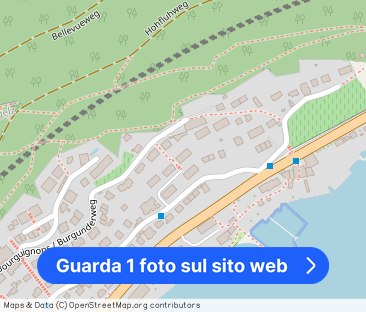 Distant views of Lake Biel – your new home - Foto 1