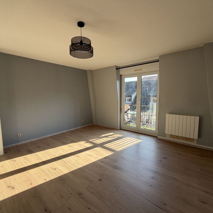 Location Appartement 2 pièces 56m² SELESTAT 67600 - Photo 1