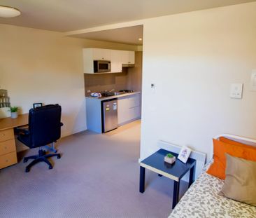 Large Studio - Photo 4