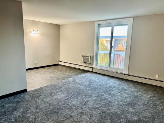 🏡 Newly Renovated 2 Bedroom - Photo 1