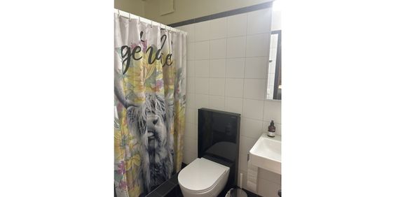 Studio in Zürich - Kreis 1, möbliert, auf Zeit - Foto 3