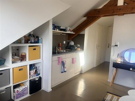 STUDIO UNDER THE ROOF NEAR THE LAKE WITHOUT ELEVATOR - Photo 2