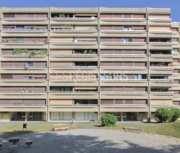 Bel appartement entièrement rénové à Meyrin. - Photo 1