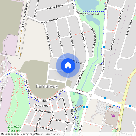 3 Buru Pl, NSW 2145, Pemulwuy