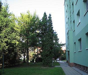 Pronájem bytu 2+1 56 m² - Photo 6
