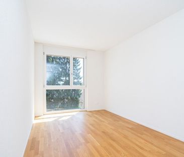 Dort leben, wo andere Ferien machen. - Photo 3