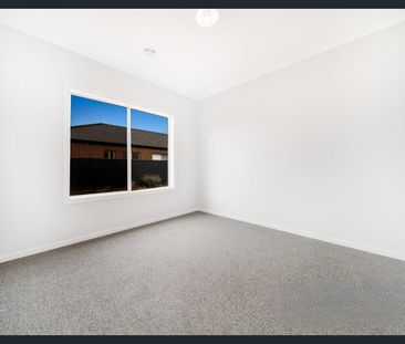 Spacious Family Home Walking Distance to Opalia Plaza Shopping Cent... - Photo 3