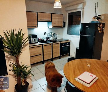 Location Appartement 2 pièces 45m² GRENAY 62160 - Photo 4