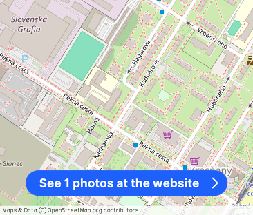 TOPNovinka: NOVOSTAVBA HROZNOVÝ SAD – VEĽKÝ 1-IZBOVÝ BYT S PARKOVAN... - Photo 1