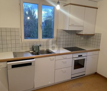 SEMI-DETACHED WITH GREAT POTENTIAL! - Photo 5