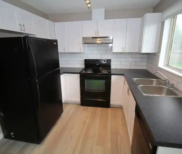 Great Just Renovated 4 Bedroom with 2 Full Bathrooms and Fenced in ... - Photo 1