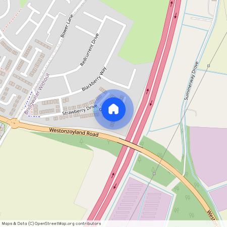 Goji Place, Birdgwater, TA6