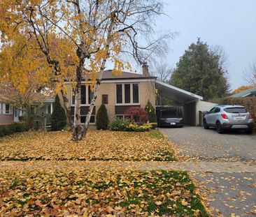 For Lease - 256 Sylvan Avenue Unit# Lower, Toronto, Ontario - Photo 4