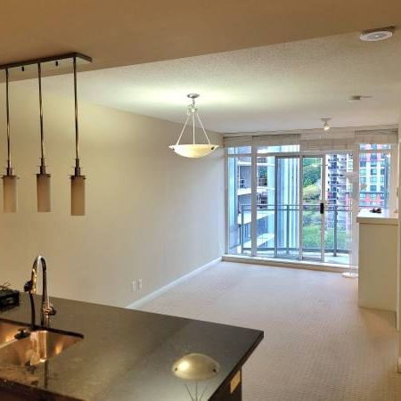 1 Bedroom 1 Bathroom in Downtown New Westminster - Photo 3