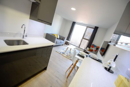 1 Bedroom Apartments - Photo 4