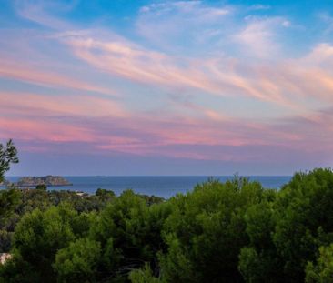 Carrer Calma, 11, 07160 Peguera, Illes Balears, Spain, Peguera, Bal... - Photo 4