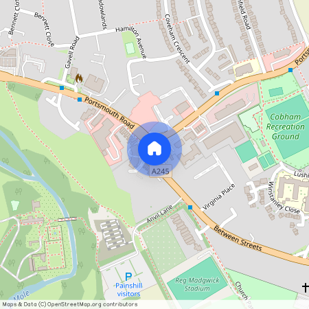 Portsmouth Road, Cobham, KT11