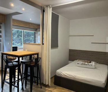 Appartement 1 pièce à Lille - Photo 3