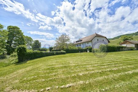 STANDING DUPLEX ENTIRELY RENOVATED - Foto 5