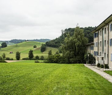 Helle 3.5 Zimmerwohnung in Melchnau - Foto 2