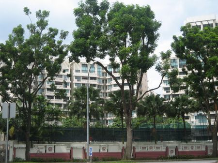 Orchid Park Condominium (D27), Condominium - For Rent - Photo 4