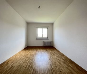 3 Zimmer-Wohnung in Kloten mieten - Photo 3