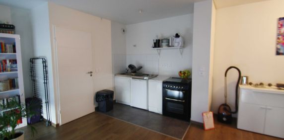 Location Appartement 1 pièce 31m² - Photo 2