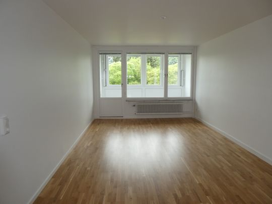 Allfarvägen, Borlänge - Foto 1
