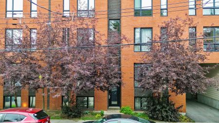 Condo for rent, Montréal (Le Sud-Ouest) - Photo 3