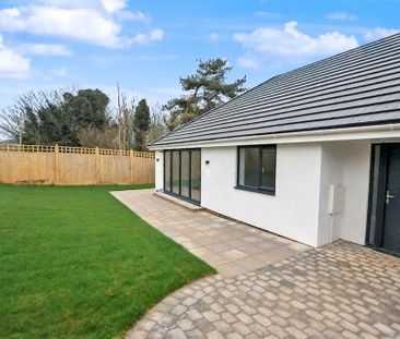 3 bedroom detached bungalow to rent - Photo 5