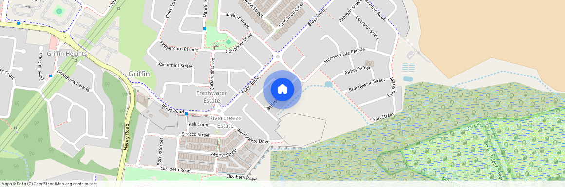 Bellestar Street, Griffin