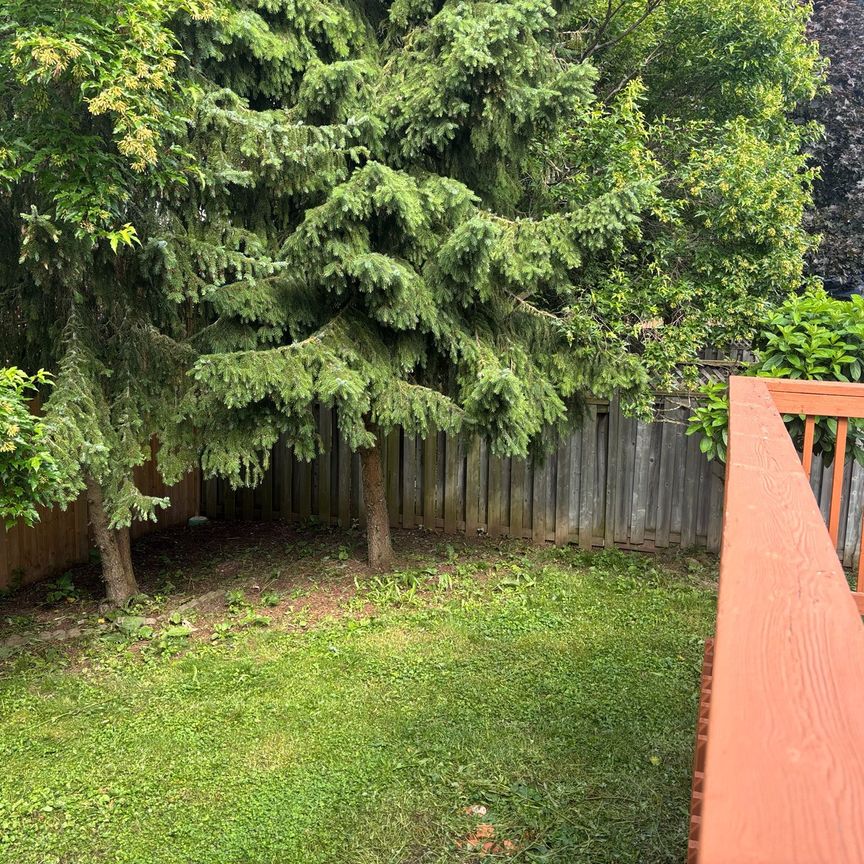 For Lease - 41 CAMM Crescent, Guelph, Ontario - Photo 1