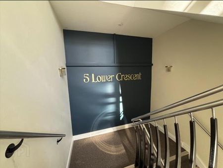 Apt 1, 5 Lower Crescent, Botanic, Belfast, BT7 1NR - Photo 5