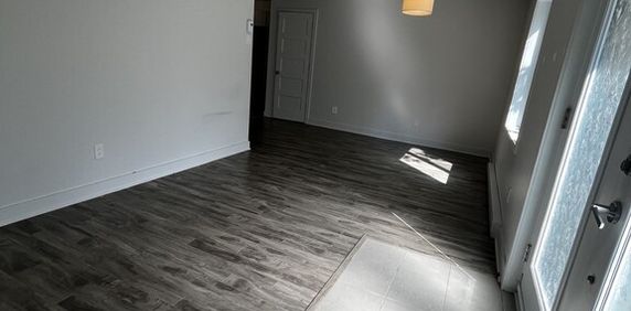 CONDO 4 1-2 NIVEAU TERRASSE + CABANON - Photo 2