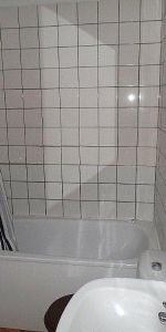 Location Appartement 2 pièces 55m² LILLE 59000 - Photo 3