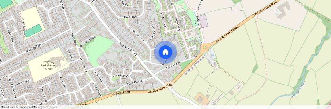 Oldway Park, Wellington