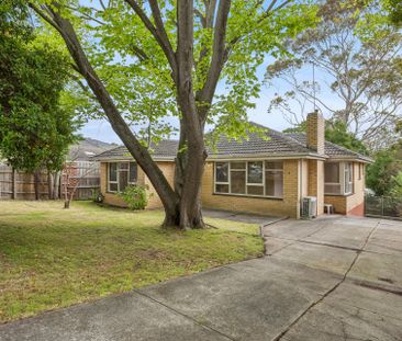 Freshly Painted Family Home in a Prime Doncaster East Location - Photo 5