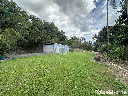 2069 Mossman-Daintree Road, Wonga Beach, QLD 4873 - Photo 3