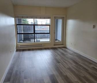 Pet Friendly Unfurnished Studio + Patio Apartment (6638 Main St) - Photo 1