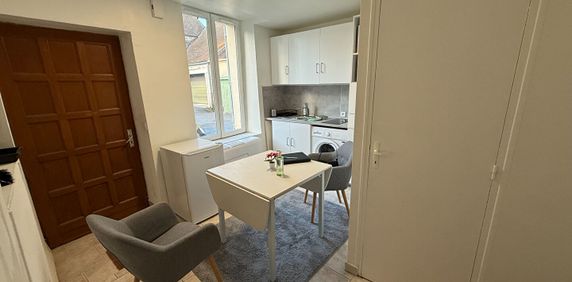 Appartement T1 Boissy-sous-Saint-Yon à louer - Photo 2