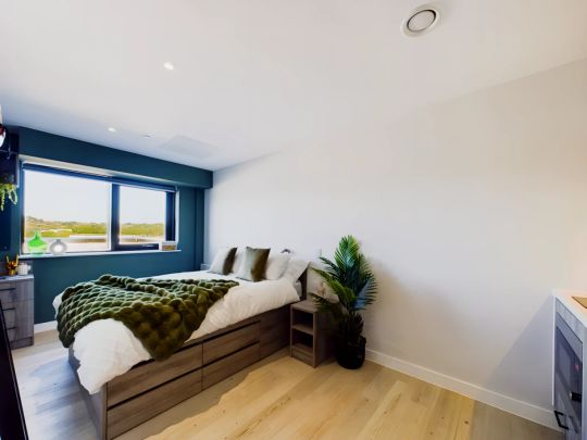 Luxury Double Occupancy Studio - Photo 1