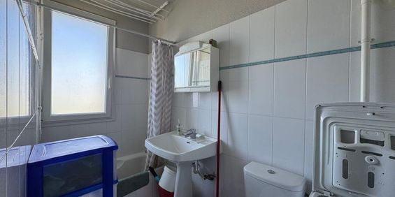 Location Appartement 1 pièce Meublé 17m² CHAILLY EN BIERE 77930 - Photo 3